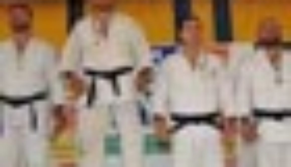 dojo image005 70