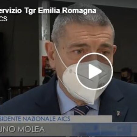 Intervento del Presidente Bruno Molea nel servizio del TgR
