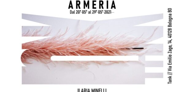 Armeria // Ilaria Minelli